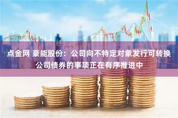 点金网 豪能股份：公司向不特定对象发行可转换公司债券的事项正在有序推进中