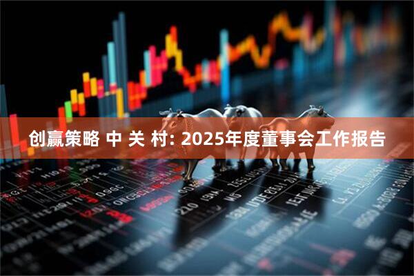 创赢策略 中 关 村: 2025年度董事会工作报告