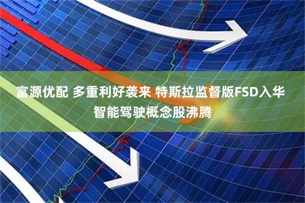 富源优配 多重利好袭来 特斯拉监督版FSD入华 智能驾驶概念股沸腾