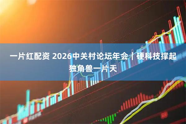 一片红配资 2026中关村论坛年会｜硬科技撑起独角兽一片天