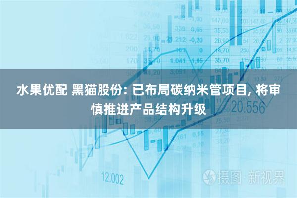 水果优配 黑猫股份: 已布局碳纳米管项目, 将审慎推进产品结构升级