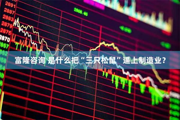 富隆咨询 是什么把“三只松鼠”逼上制造业？