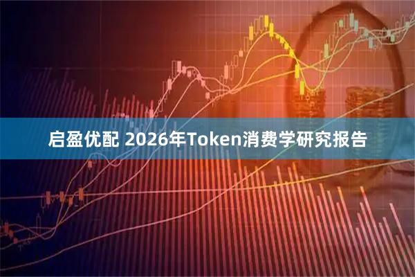 启盈优配 2026年Token消费学研究报告