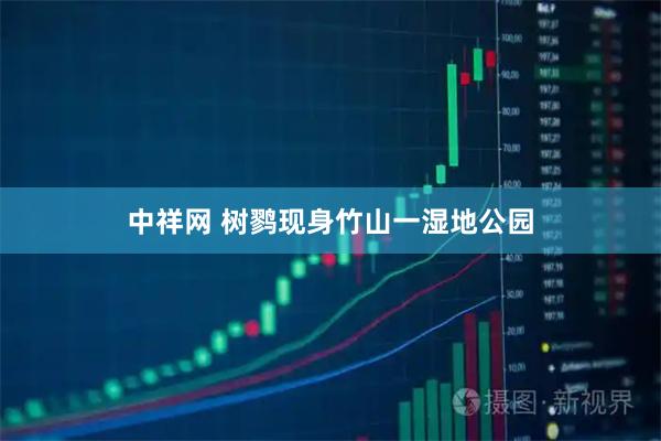 中祥网 树鹨现身竹山一湿地公园