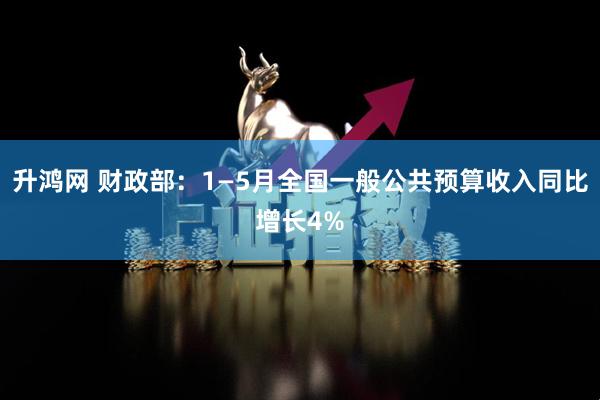 升鸿网 财政部：1—5月全国一般公共预算收入同比增长4%