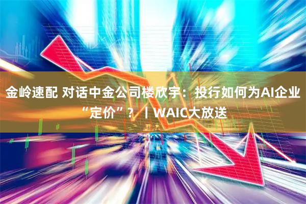 金岭速配 对话中金公司楼欣宇：投行如何为AI企业“定价”？丨WAIC大放送