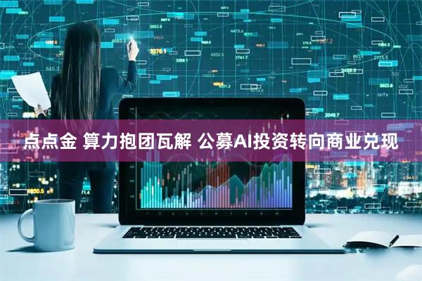 点点金 算力抱团瓦解 公募AI投资转向商业兑现